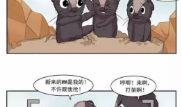 喵喵漫画污,揭秘萌宠界的趣味与尺度